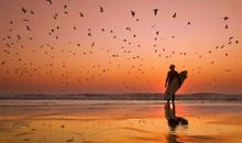 经典语录：做个寡言，但心有一片海的人