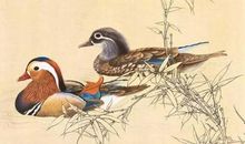 古诗十九首·客从远方来