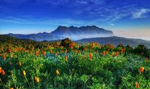 所谓的好运，要接得住才算数