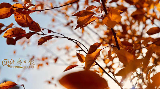 不要小看小事,每一个困难都是一种锻炼