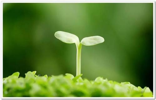 意识到人性的弱点，就可以控制一切