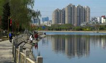 周作人：北平的春天