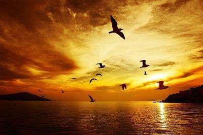 励志文章-摆脱困境