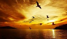 励志美文——走出心中的监狱