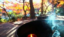 经典语段：不强求，不妄取，贵在随缘