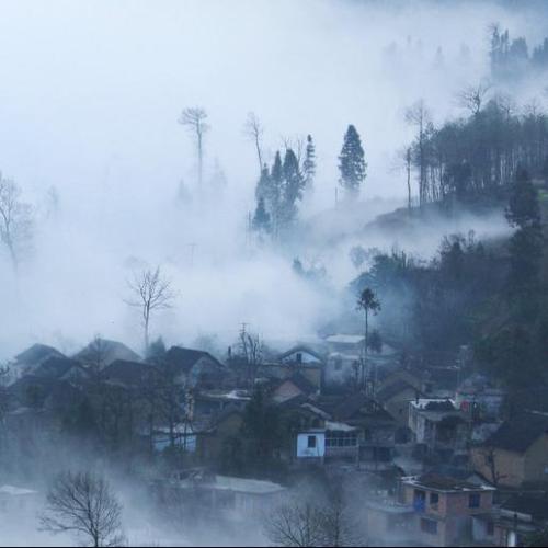 刘良成：寒风吹过