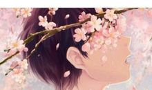 那些让人流泪的句子