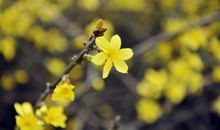 老同学相见格外开心的句子 同学开心相聚的句子