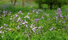 人到中年的八大修养，精辟！