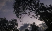 天亮了，不要再辜负父母了