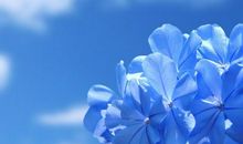 老婆生气了哄她开心的句子 媳妇生气了怎么哄开心的情话