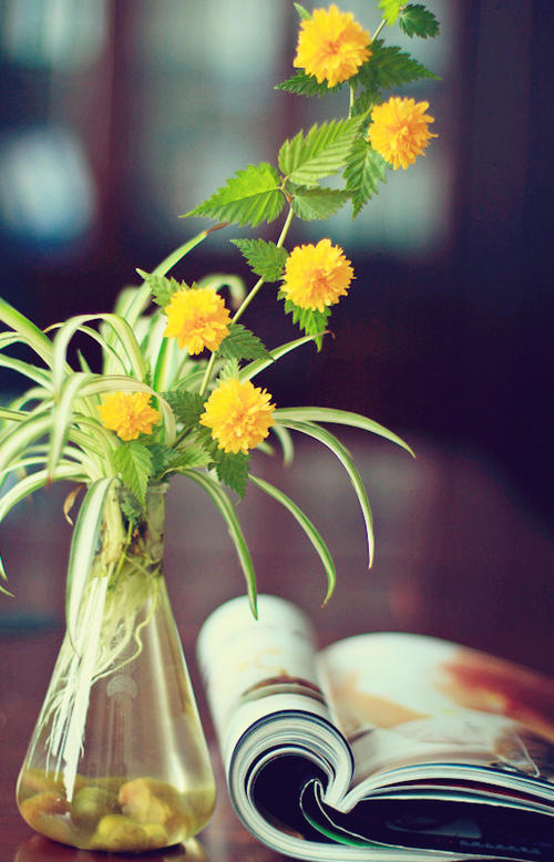 掌握如何处理问题，了解自己也是高手