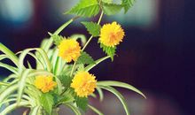 高手遇事的处理方法，学会你也是高手