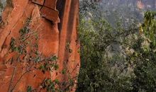 如何找到自己真正想做的事情？