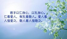 关于礼仪的优美句子