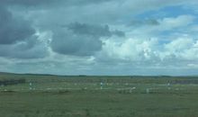 毕淑敏：青虫之爱