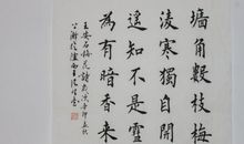 王安石的诗|王安石的诗全集