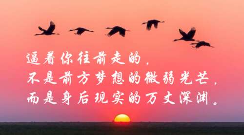 关于梦想与现实的名言