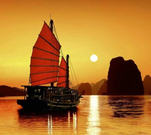 从成功的自学到成功的生活