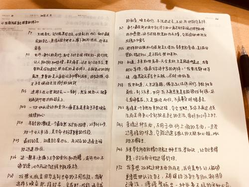 阅读《重播》后的感想