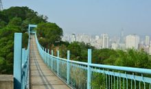 让你必败无疑的四个习惯