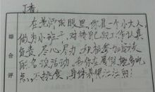 班主任经典学生评语精选