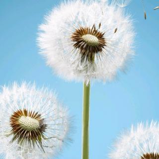 30个字符的简历令人震惊!