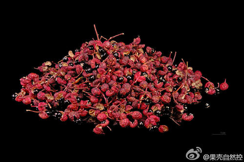 关于胡椒的寓言