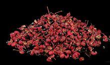 有关花椒的歇后语