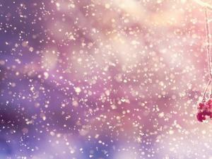 描述夜晚的一段