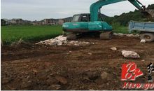 拆除打击违法建筑宣传标语