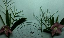 欧阳修：蝶恋花·谁道闲情抛弃久