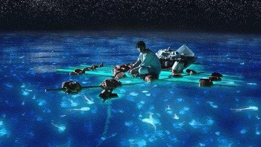 少年派幻想漂流电影评论