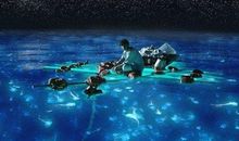 少年派奇幻漂流影评