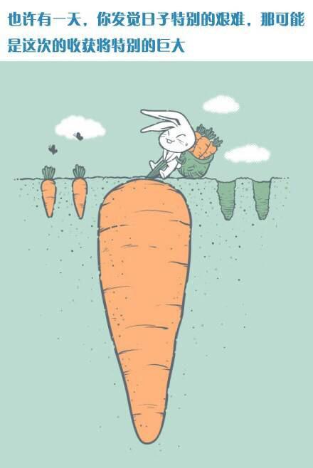 经典励志故事：载水挖井