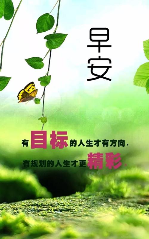 经典语录：依靠自己，生活可以改变