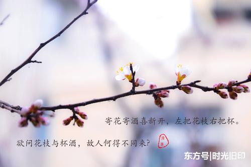 三月份描述阳春的句子