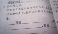 我渴望排比句