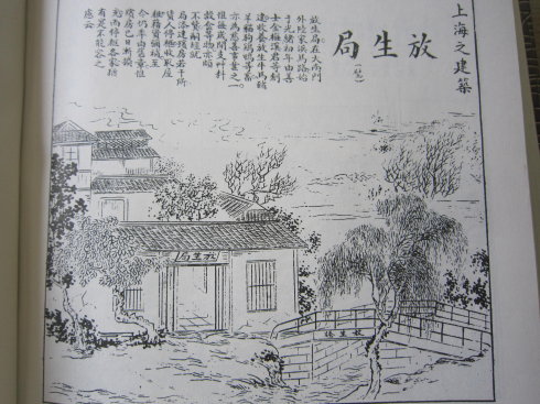 从句子中的旧章开始评分