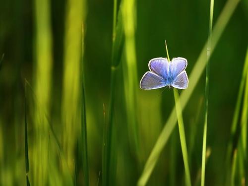 别怕我的女儿，爸爸和你在一起