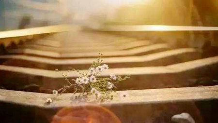 不要太担心,只要成为世界上最好的自己1