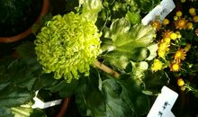 把时间花在心灵上