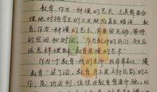 教育读书笔记