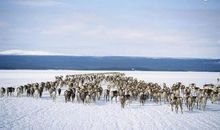 人生必须弄明白的十个问题