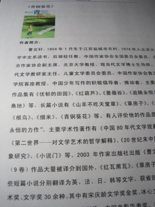 青铜向日葵读书笔记