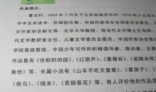 青铜葵花读书笔记