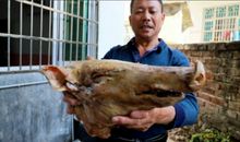 你9岁玩泥巴，人家穿上西装成大佬