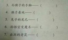 关于兔的歇后语大全