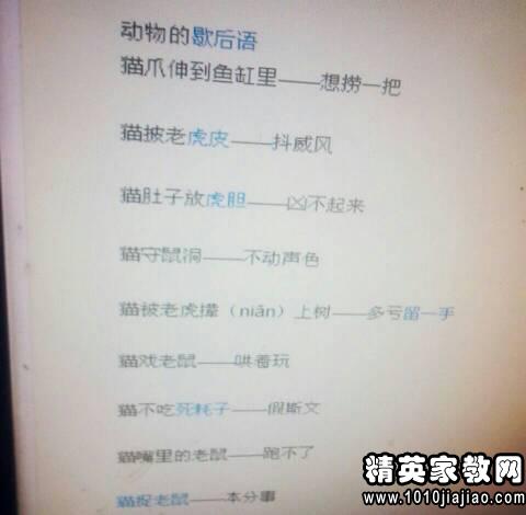 描述散布的寓言谚语