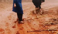 世上不存在更好的那条路